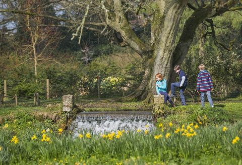 Mottisfont, Hampshire'da ilkbaharda bahçede oynayan çocuklar © National Trust Images James Dobson