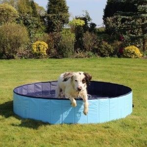 Cool Down Katlanabilir Köpek Havuzu
