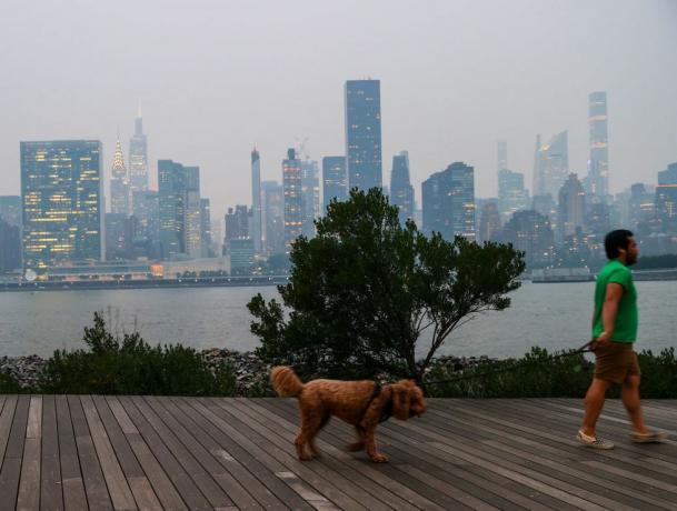 Kötü hava kalitesi sırasında köpeğini gezdiren adam