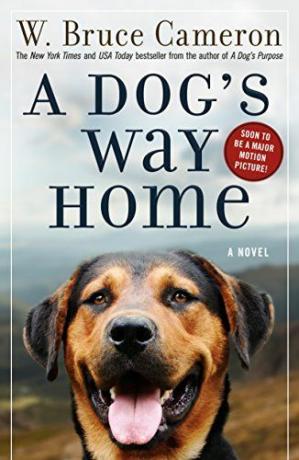 Bir Köpeğin Eve Dönüşü: Bir Roman