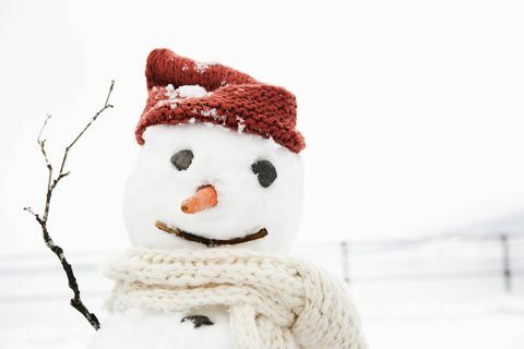 havuç burunlu ve sopa kollu bir şapka ve atkı takan kardan adam