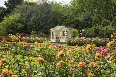 buckingham sarayı bahçeleri yeni bir kitapta ortaya çıktı