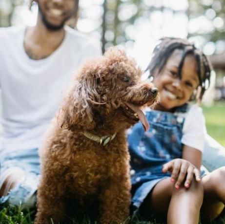 köpek ile parkta oynayan aile