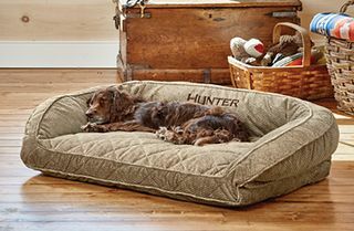 Orvis ComfortFill-Eco™ Destekli Köpek Yatağı
