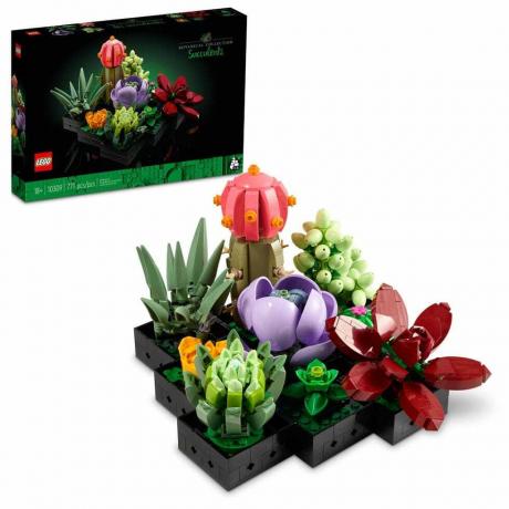 Simgeler Succulents Yapay Bitkiler Seti