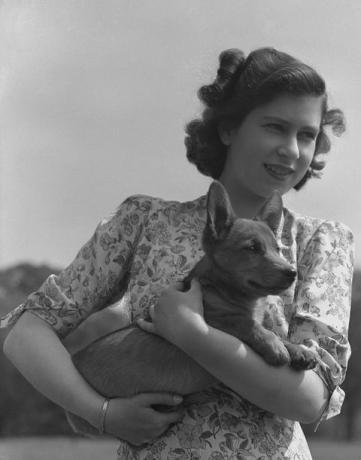 prenses elizabeth kraliçe elizabeth ii windsor şatosu arazisinde bir corgi tutarken resmedildi, berkshire, büyük britanya, 30 mayıs 1944 fotoğraf lisa sheridanstudio lisahulton archivegetty images