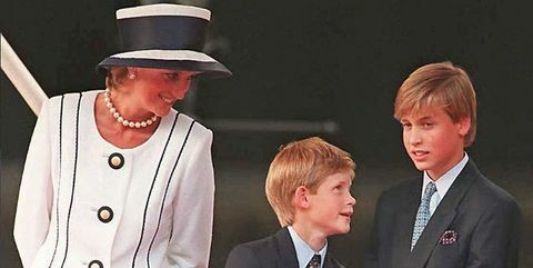 Prens William ve Prens Harry, Prenses Diana ile "acele" son çağrıda pişmanlıklarından bahsediyorlar
