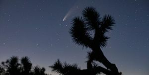 neowise kuyruklu yıldızı güney kaliforniya'da görüldü