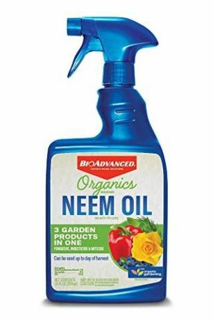 Neem Yağı