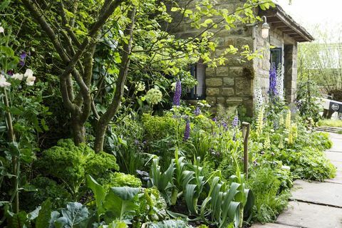 Yorkshire Chelsea Çiçek Fuarı bahçesine hoş geldiniz 2019 Mark Gregory