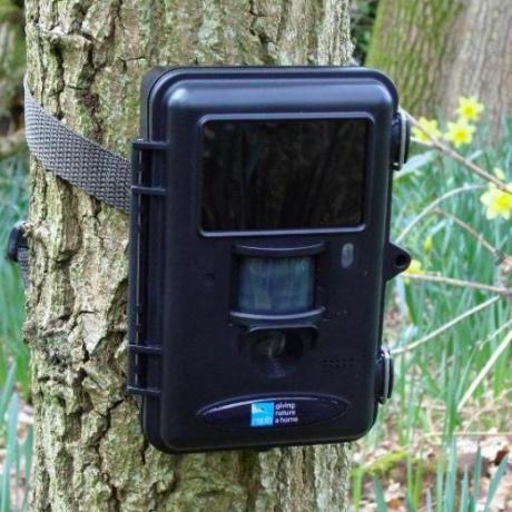 RSPB Doğa kamerası