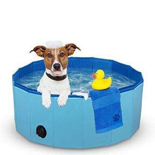 Katlanabilir Evcil Hayvan Çocuk Havuzu