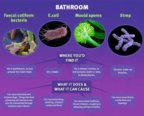 Banyo Mikropları - Şilte Çevrimiçi