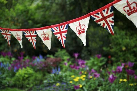 union jack İngiliz bayrağı kiraz kuşu İngiliz bahçesinde asılı duruyor