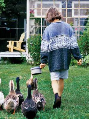 arka bahçede ördekler ile kadın