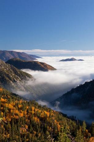 sonbahar renginde çevreleyen dağlar ile büyük ayı gölü üzerinde bulutlar denizi
