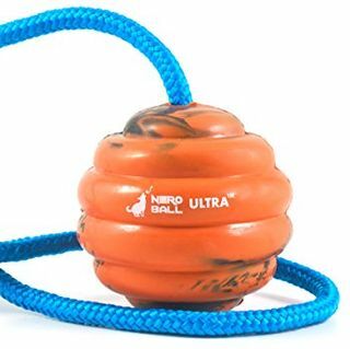 Nero Ball Ultra TM - İp Üzerinde Köpek Eğitim Topu - Köpekler için Egzersiz ve Ödül Oyuncağı