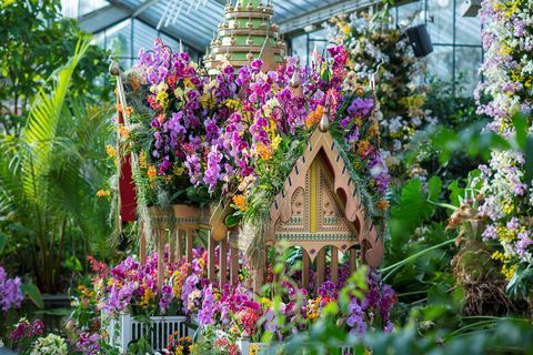 Kew Gardens 2018 orkide festivali: 600'den fazla orkideden oluşan yüzen Bang Pa-In sarayı