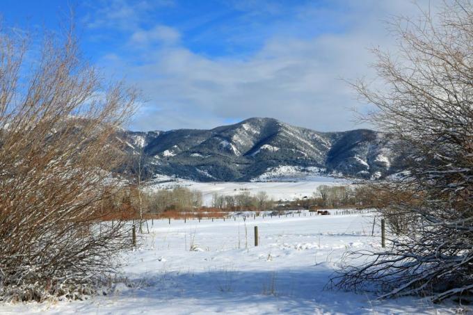 Bozeman Montana'dan görülen Bridger Dağları'nın kış manzarası, fotoğraf: don ve melinda crawforducguniversal image group via getty Images