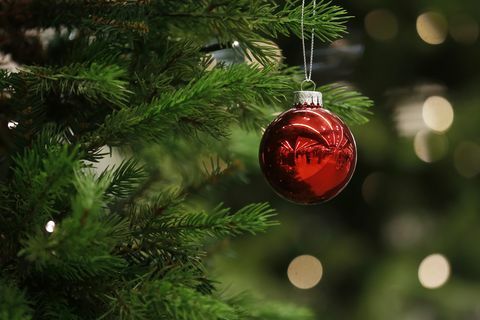 Bir Noel biblo bir ağaçtan asılı