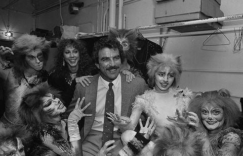 Tom Selleck ve Jillie Mack, Cats 1983'te kulis