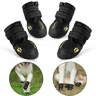 RoyalCare Koruyucu Köpek Boots, Orta ve Büyük Köpekler için 4 Su Geçirmez Yumuşak Köpek Ayakkabı Set - Siyah (6 #)