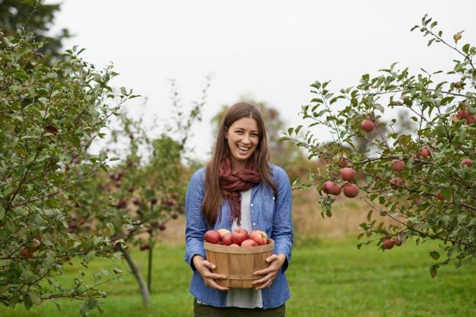 elma toplama mevsimi