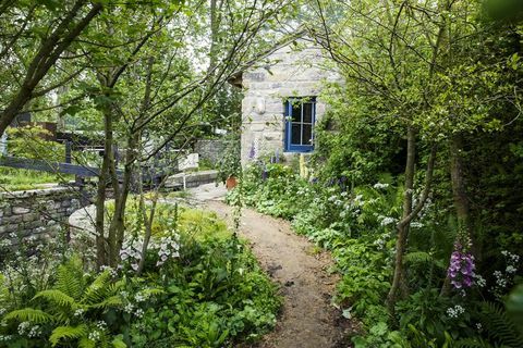 Yorkshire Chelsea Çiçek Fuarı bahçesine hoş geldiniz 2019 Mark Gregory