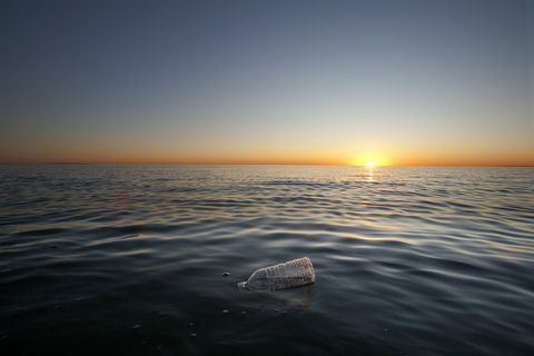 Plastik su şişesi yüzen Pasifik Okyanusu, Santa Monica, California, ABD