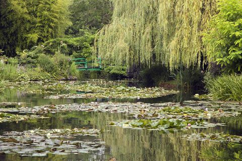 Manzara Monet'ın Bahçe, Giverny, Fransa