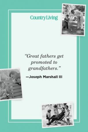 "büyük babalar dedeliğe terfi eder" —joseph marshall iii