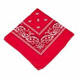 Kovboy Bandana