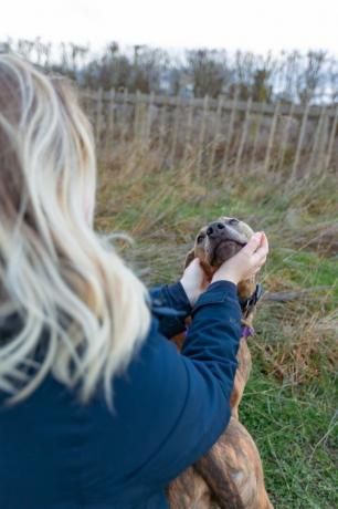 bakır kurtarma köpeğinin yeniden yuvalandırılması