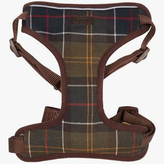 Barbour Klasik Tartan Köpek Seyahat Koşum