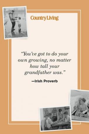 "Büyükbaban ne kadar uzun olursa olsun kendi büyümeni kendin yapmalısın" -İrlanda atasözü