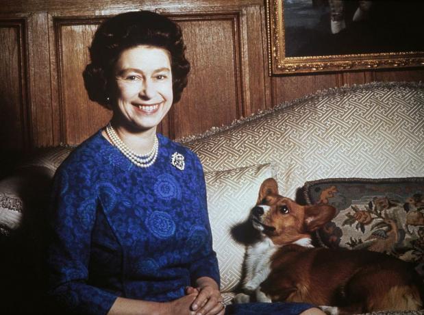 bir corgi ile kraliçe elizabeth ii, keytioneulton arşivgetty görüntüleri tarafından 1970 fotoğraf