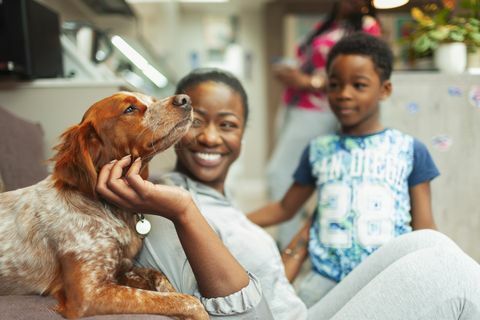 Anne ve oğlu sevişme köpek