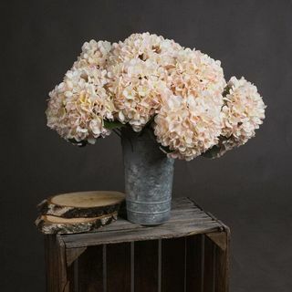 Sonbahar Beyaz Ortanca Çiçeği (3'lü Set)