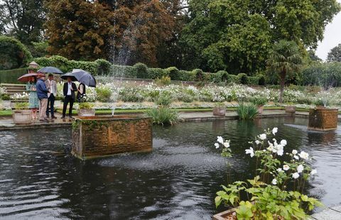 William, Harry ve Kate, Prenses Diana anıt bahçesinde